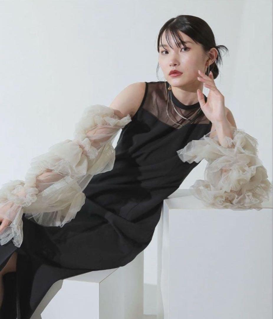 ANDRESD オケージョンドレス　袖チュール取り外し可能