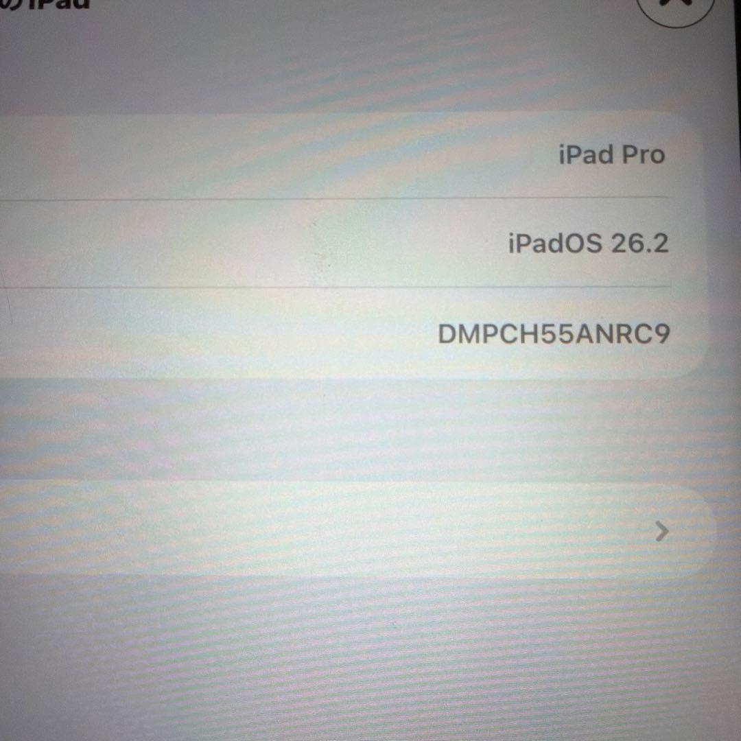 iPad Pro (第2世代) 11インチ 256GB Wi-Fi