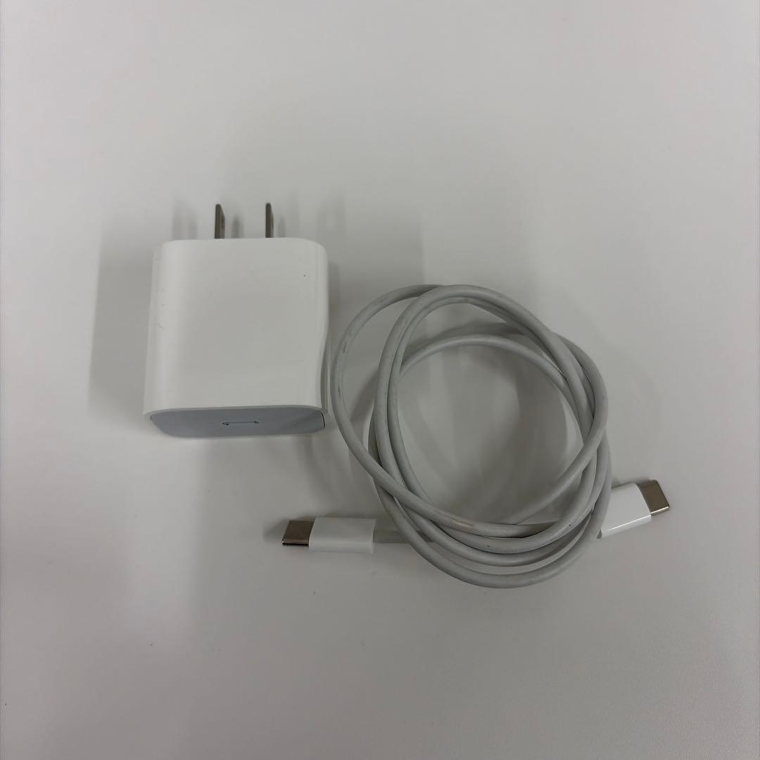 iPad Pro (第2世代) 11インチ 256GB Wi-Fi