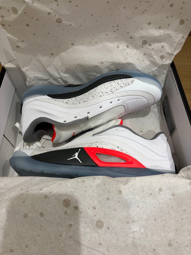 シューズ(男性用) JORDAN ZION 4 PF