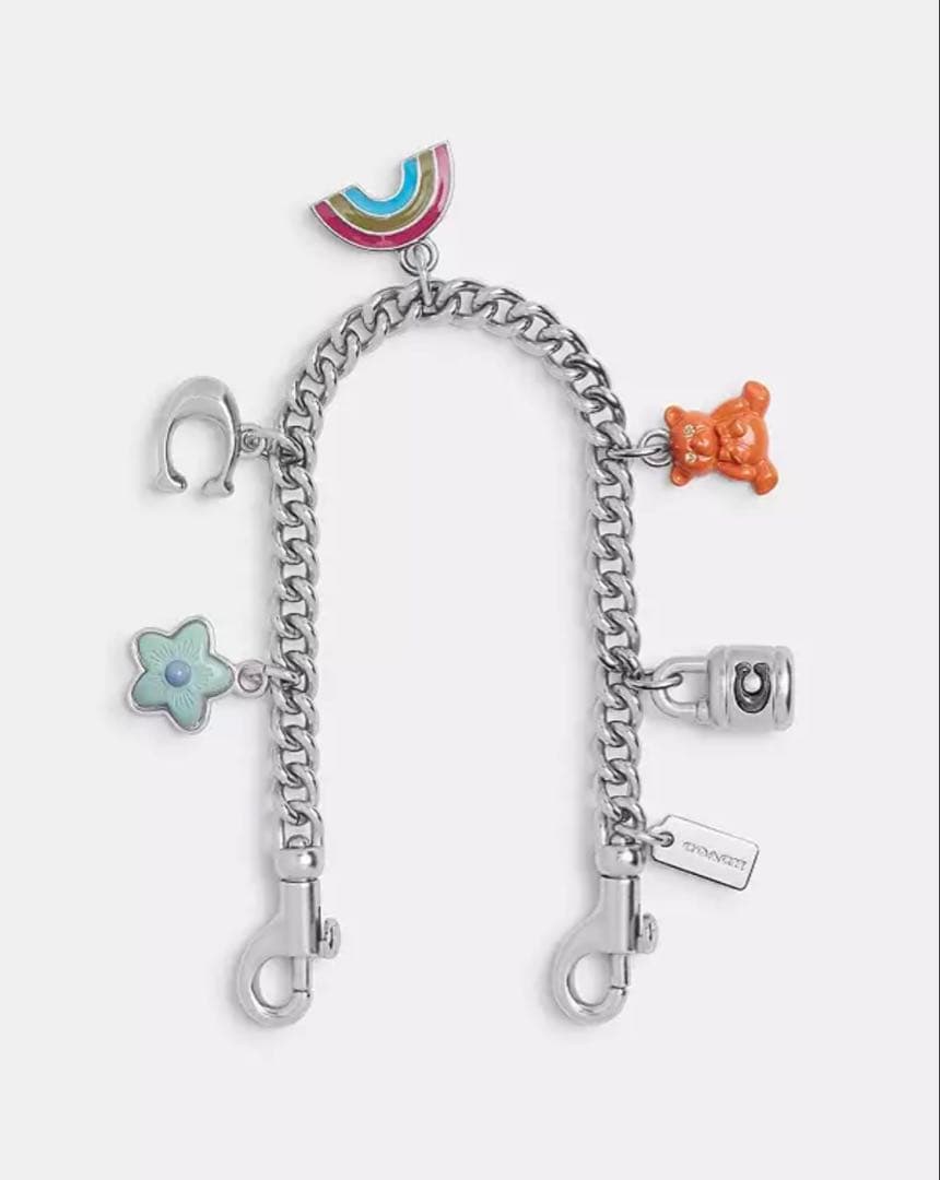 coach シルバー スワッガー チェーン・チャーム　CW662