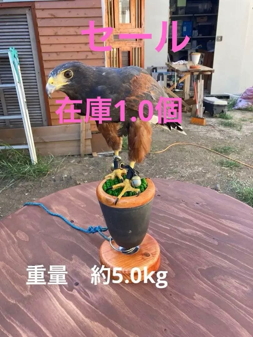 中型猛禽パーチ、ブロック（屋内用M）