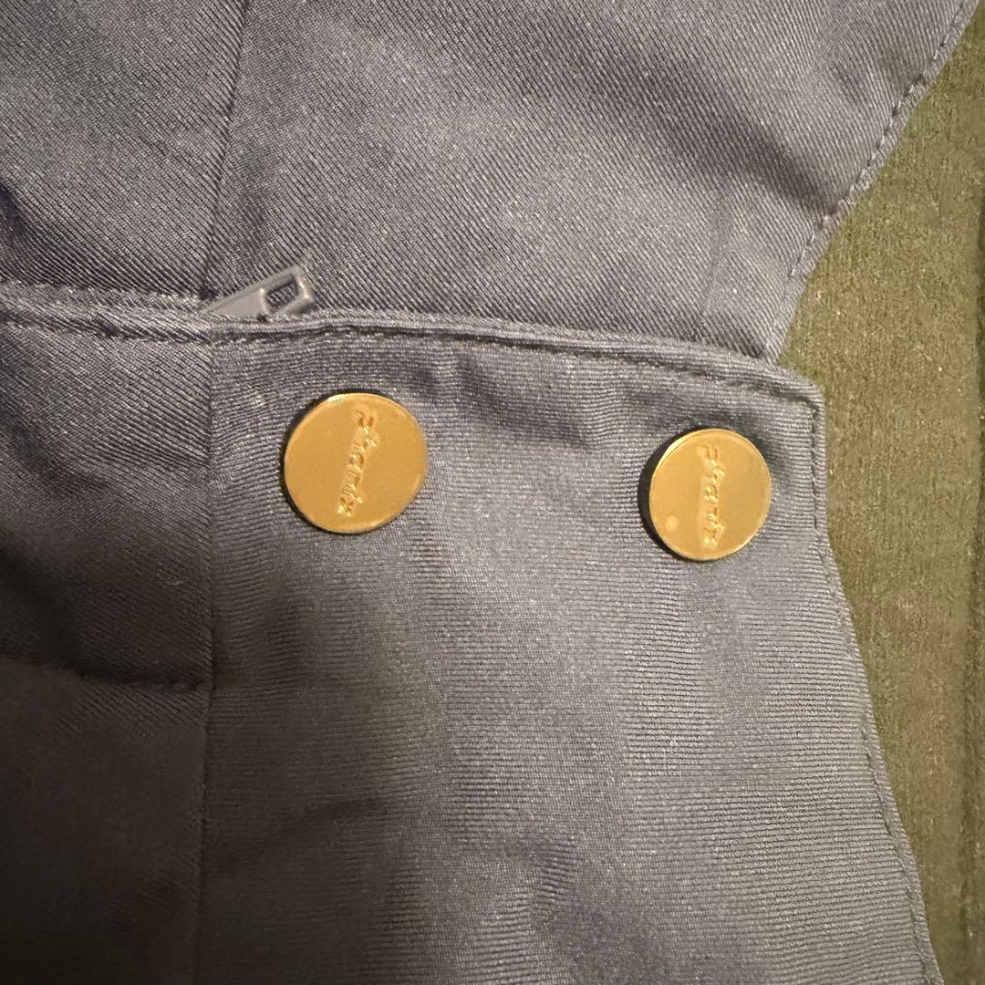 【美品】phenixブリザードパンツ JP スキーウェア パンツ（メンズ M）