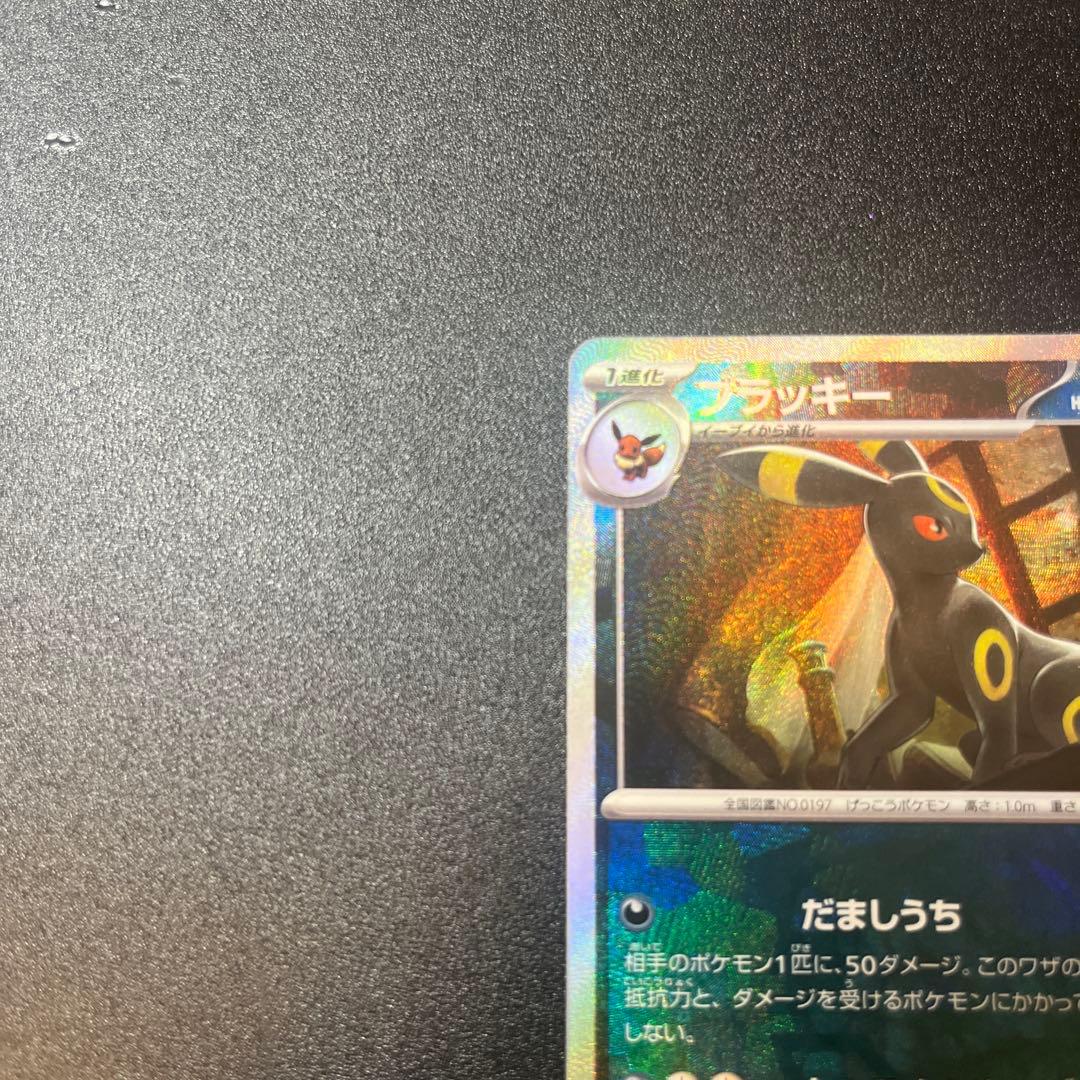 ジ*ル様 マスターボールミラー　ブラッキー　自引きコレクション品