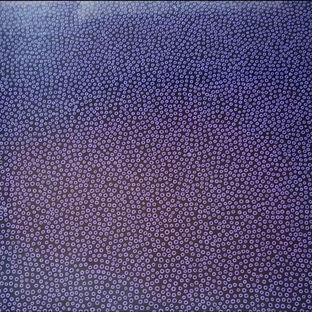 美品⟡.·津軽塗 ななこ 貴重な青紫色 長方形盆