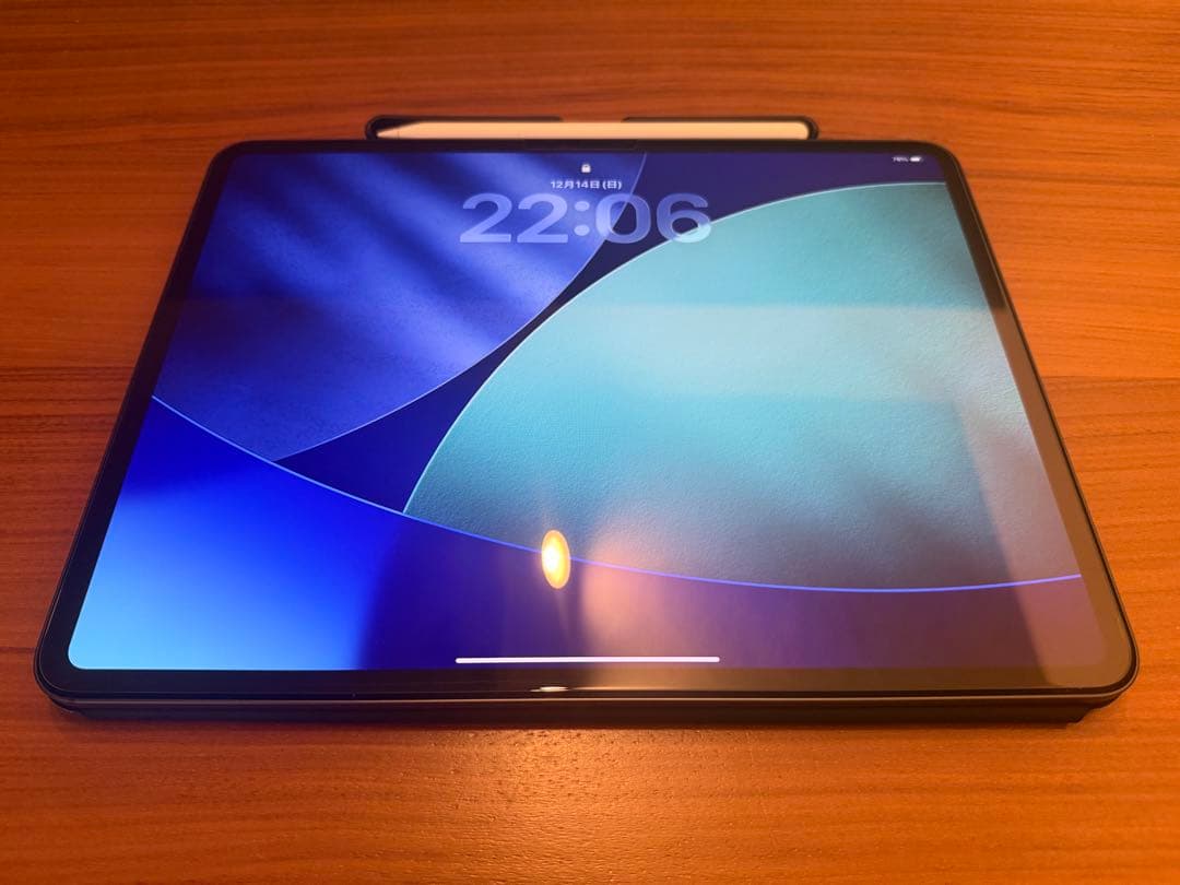 【美品】iPad Pro 13 M5 256GB AppleCare+/他付属品