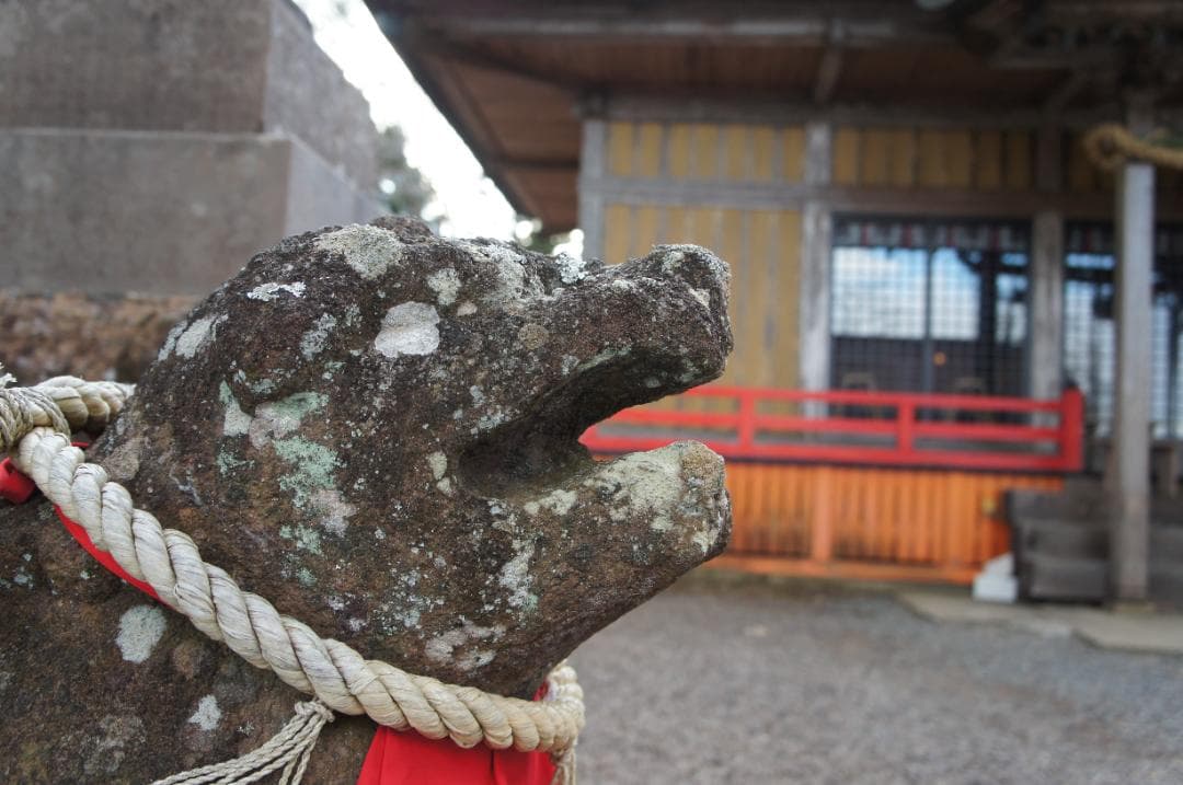 SONY NEX-C3 SEL1855 ミラーレス一眼カメラセット