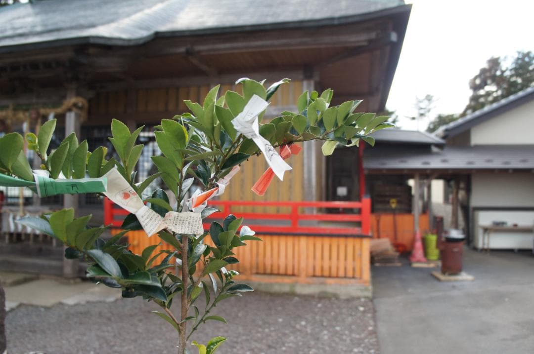 SONY NEX-C3 SEL1855 ミラーレス一眼カメラセット