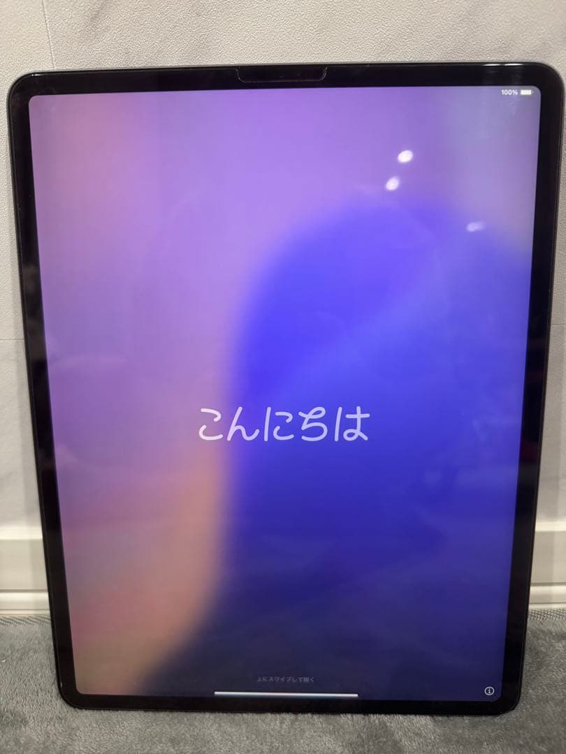 Milan【美品】 iPadPro12.9インチ第4世代256GB