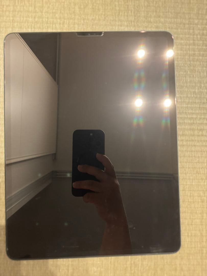 Milan【美品】 iPadPro12.9インチ第4世代256GB