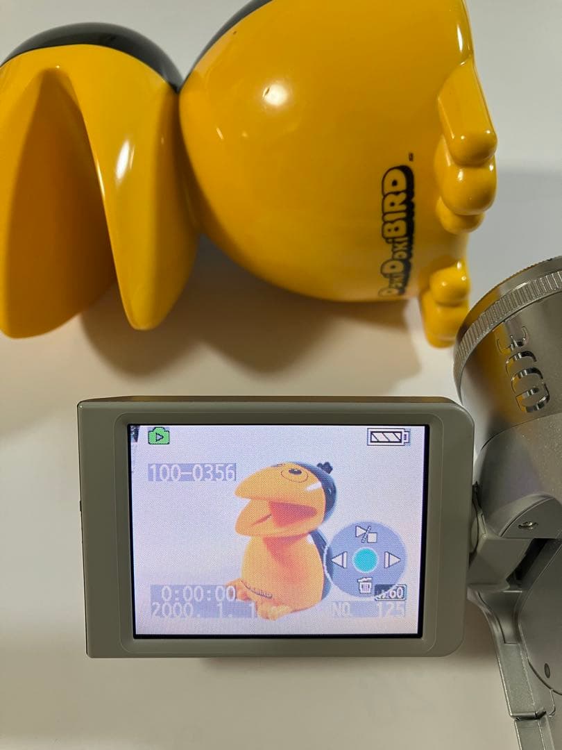 Panasonic NV-GS150 ビデオカメラ