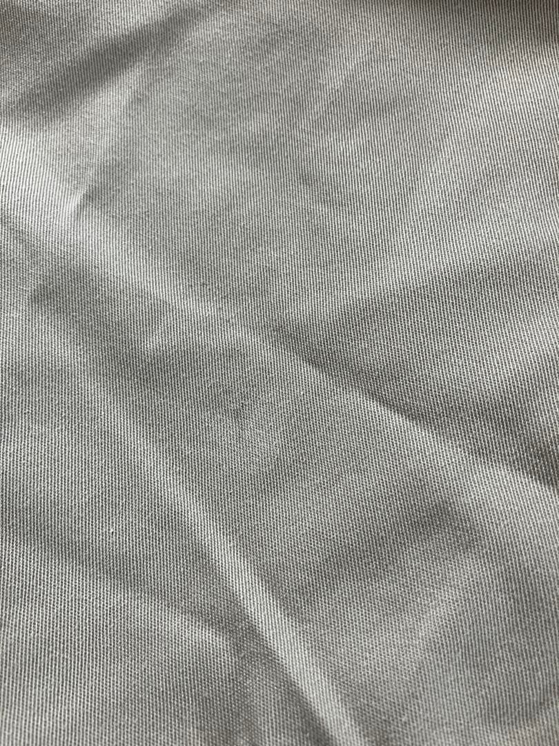 EVISU カモメ刺繍 チノパンツ 36