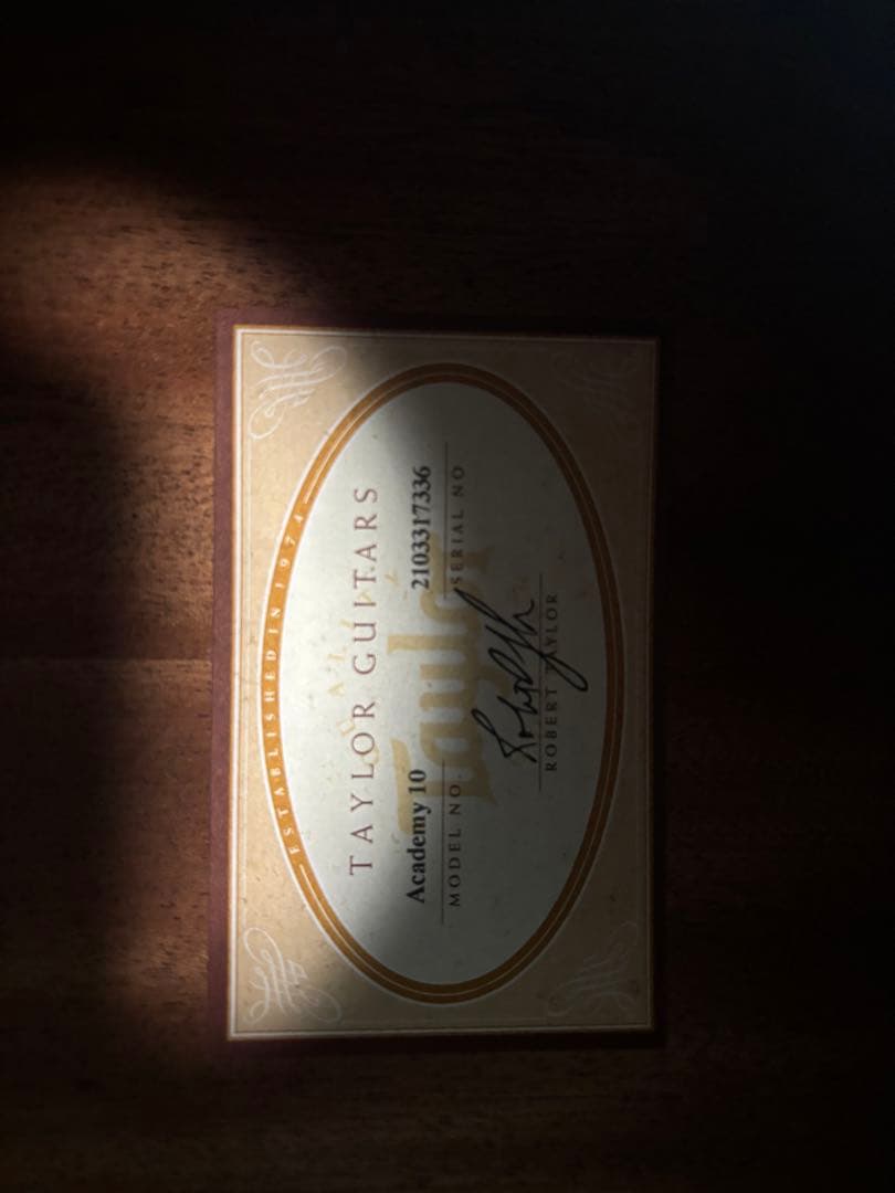 Taylor Academy 10 アコースティックギター