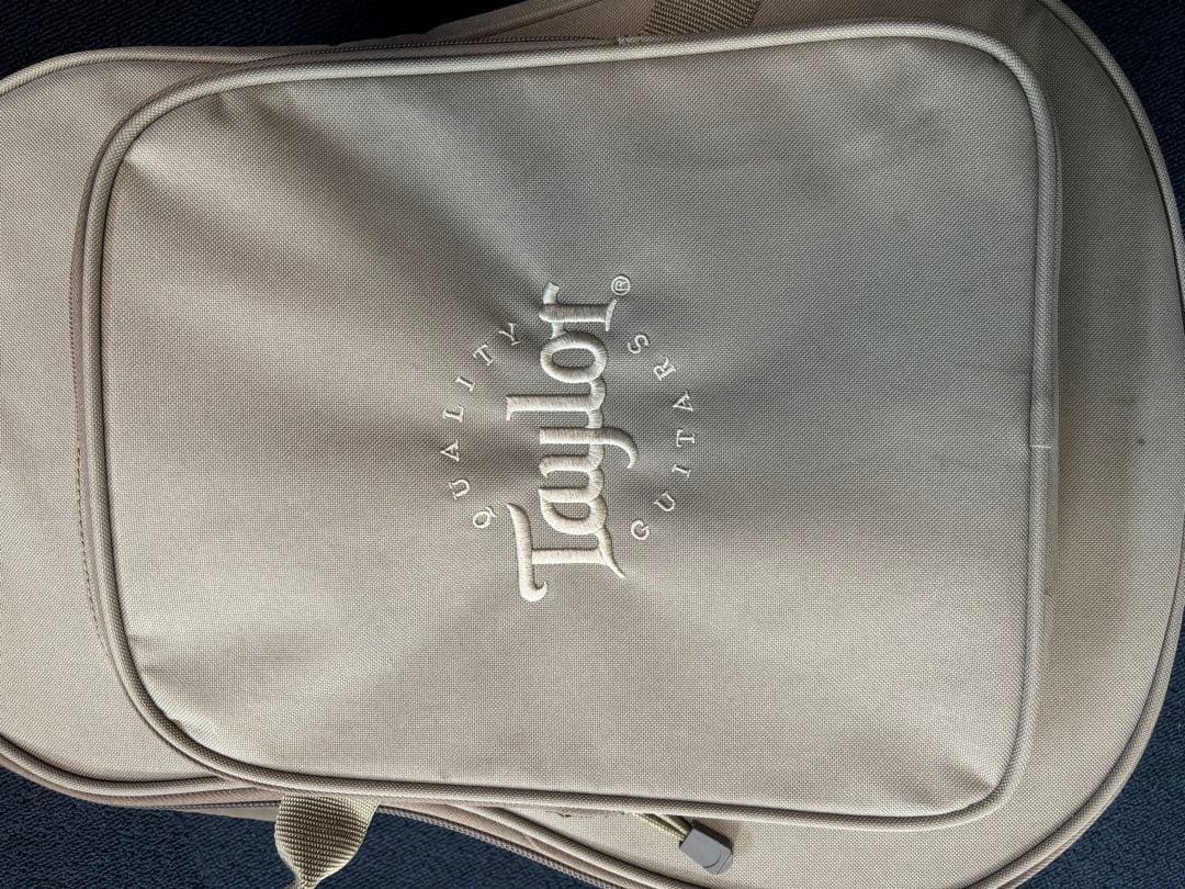 Taylor Academy 10 アコースティックギター