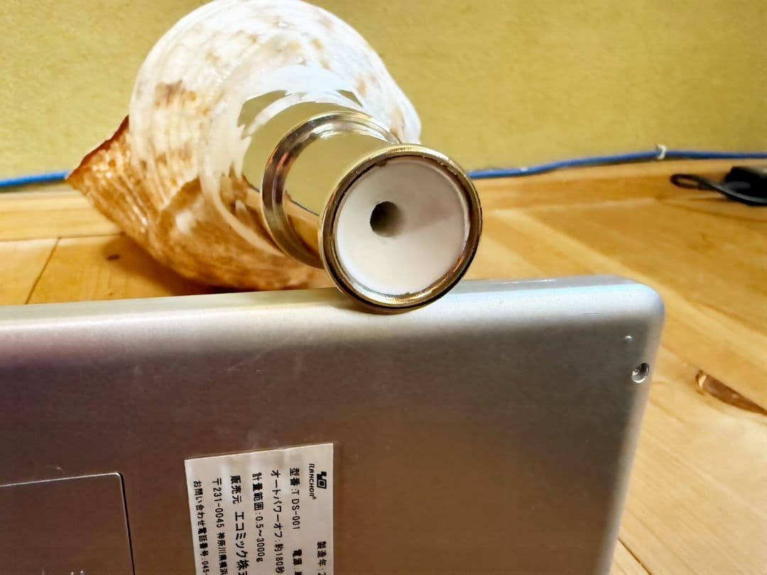 本日限定セール‼️特大40㎝ 修験道法螺貝 山伏 密教　魔除け　熊よけ