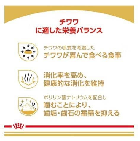  CANIN チワワ 12kg ドライフード