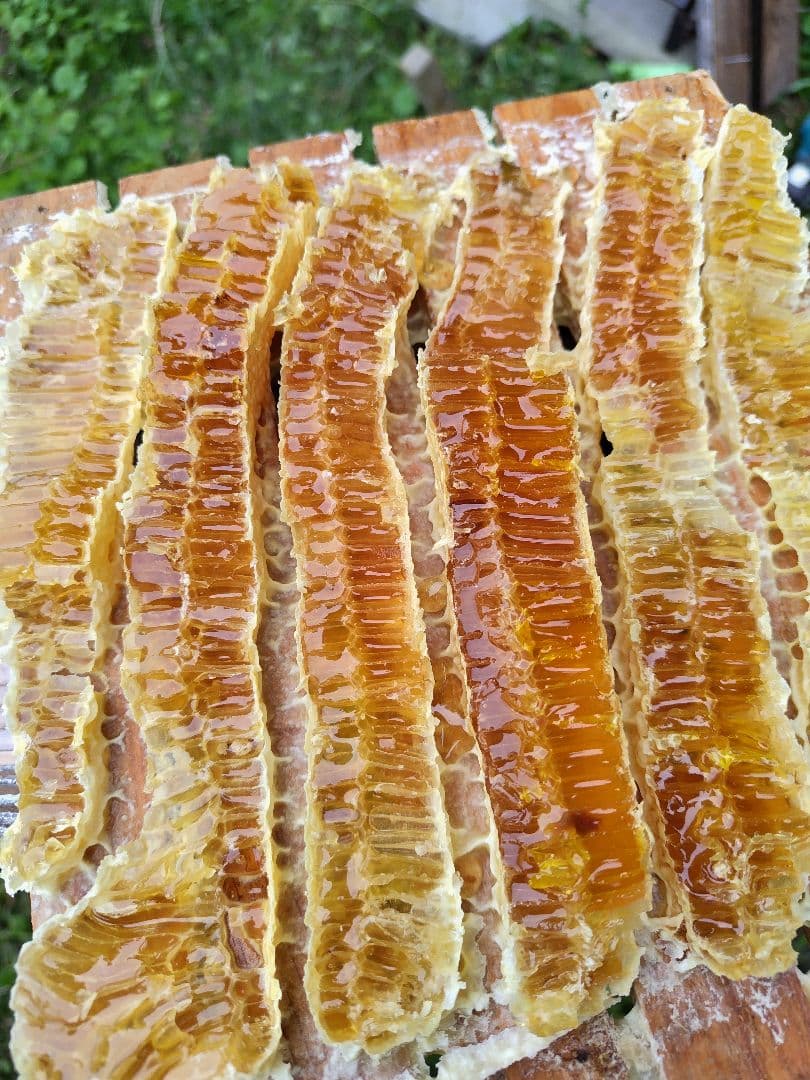 日本蜜蜂採りたて生蜂蜜(生巣蜜)368g＋蜂蜜600g×2本#6　　　　宮城県産