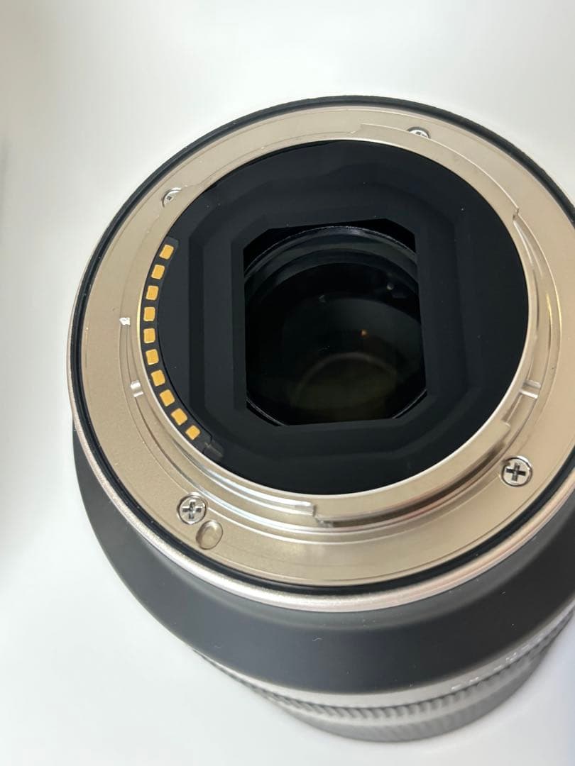 タムロン18-300mm F/3.5-6.3 Di III-A VC VXD