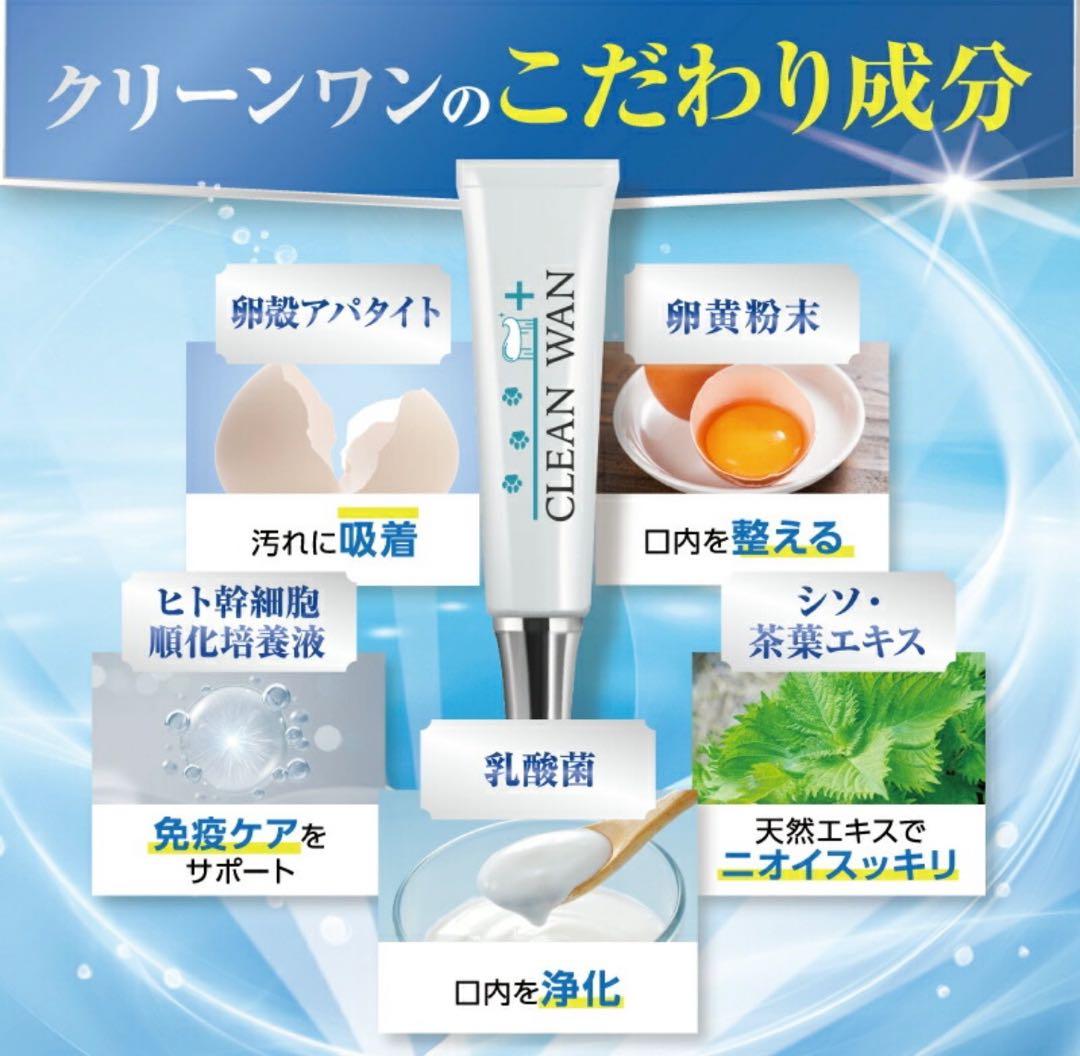 CLEAN WAN クリーンワン　犬用歯磨きジェル 15g