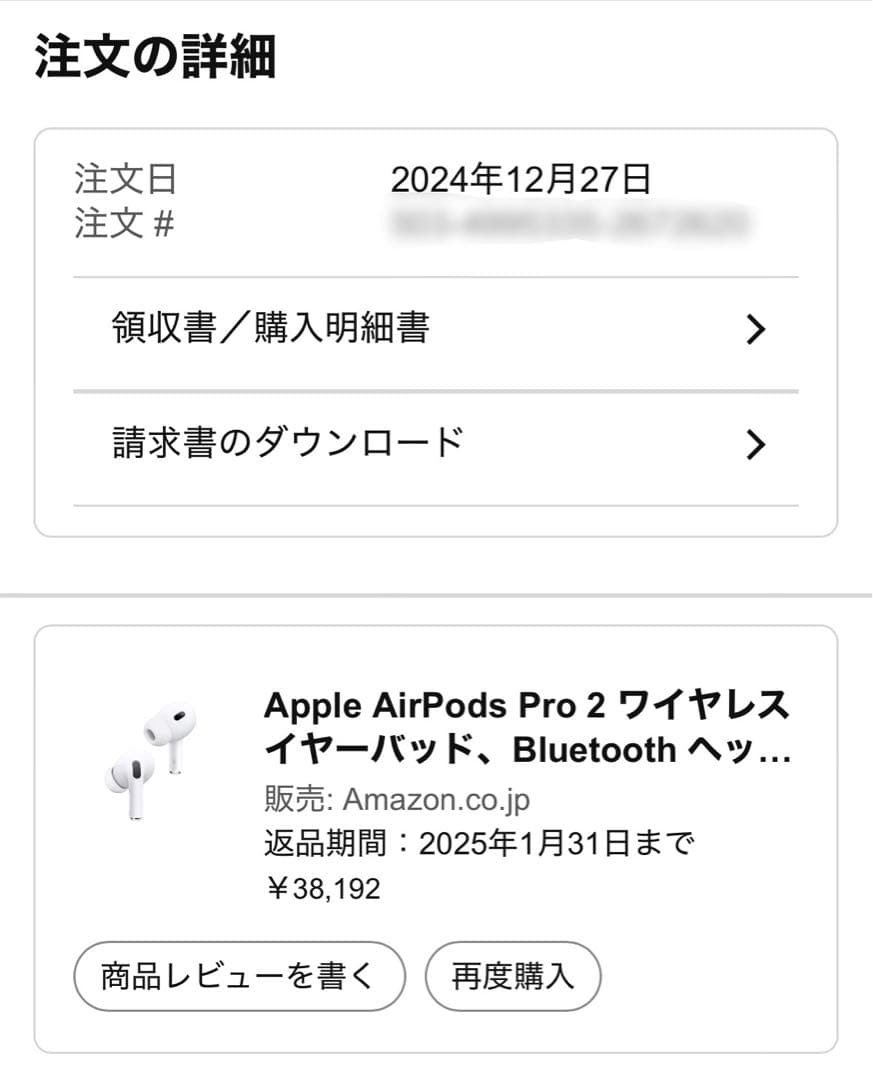 Apple AirPods Pro 2（USB-C）