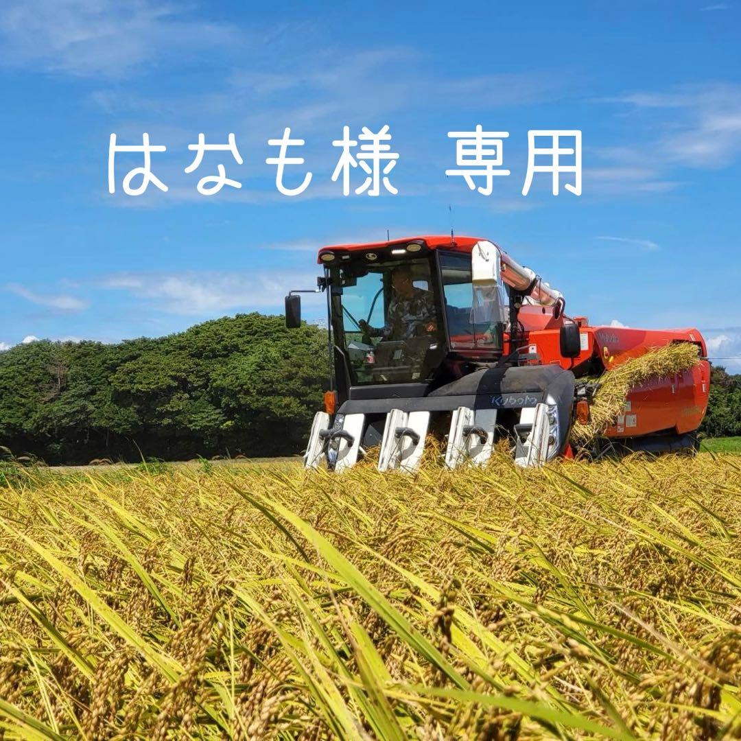 はなも れんげ 白5×2