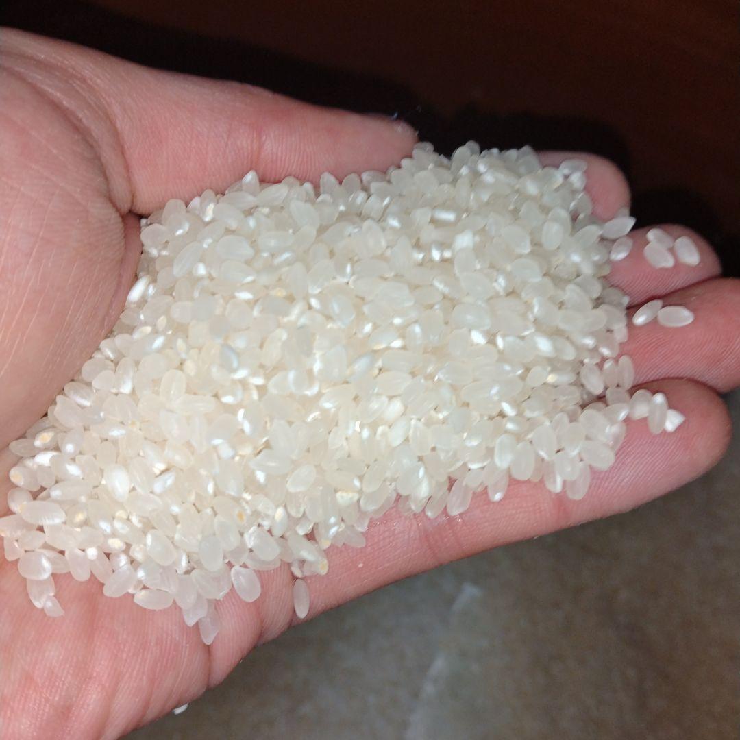 青森産　はれわたり　令和6年度　約30キロ