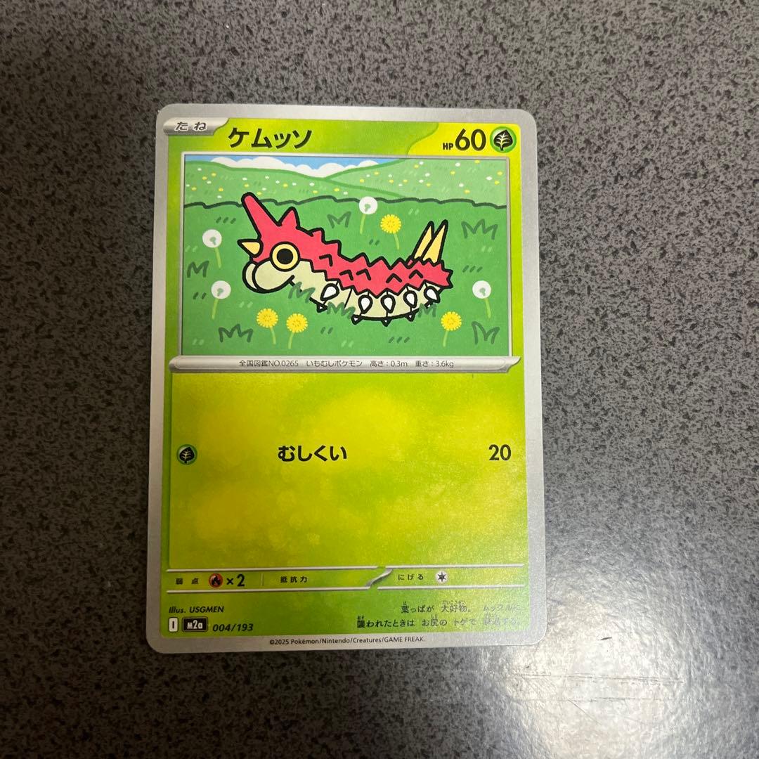 新社会人に恵を頼みます、、