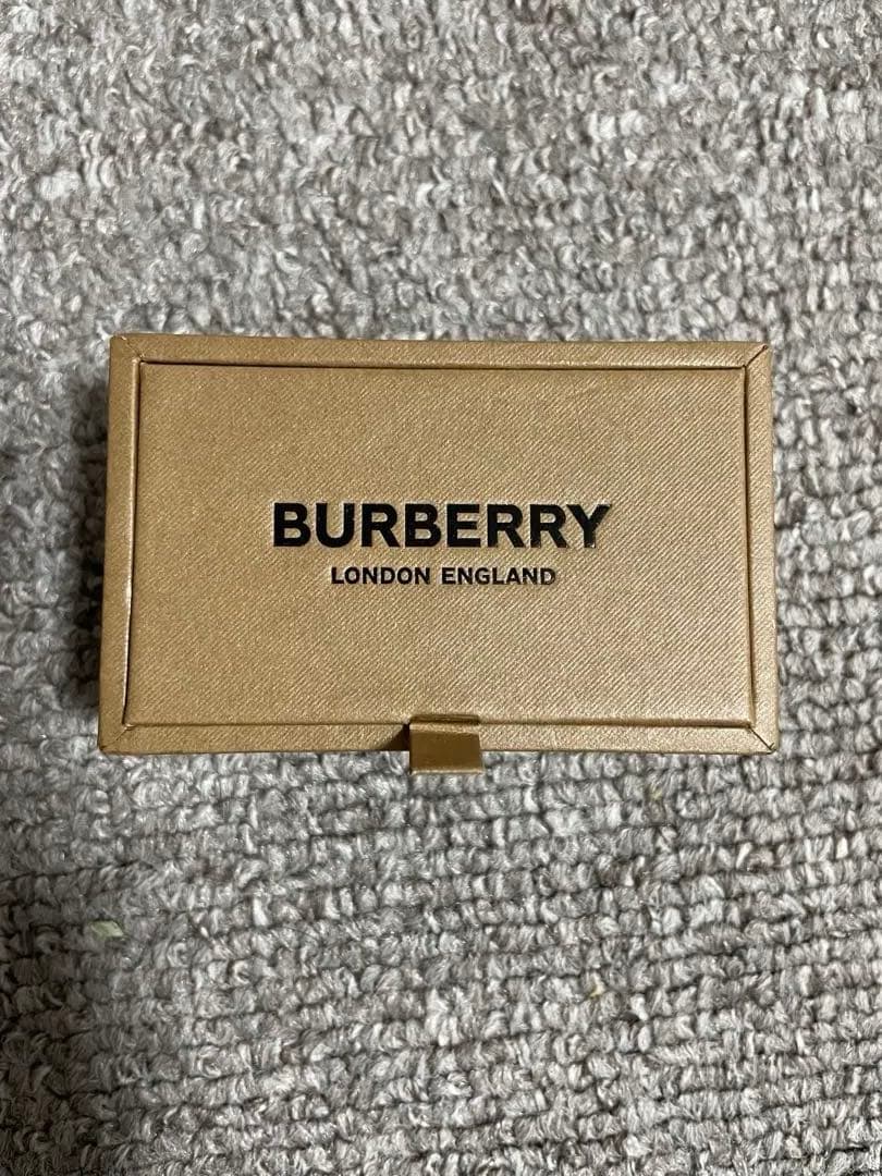使用回数2回ほど！美品、箱付き　BURBERRY シルバー ネクタイピン