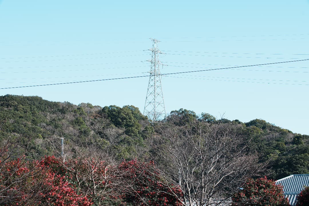 【整備＆テスト済】Canon EF 80-200mm F2.8 L 202