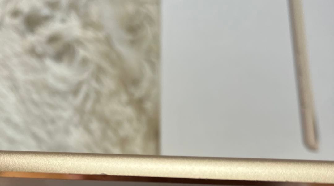 【完動品】iPad Air2 128GB 【すぐ発送】【付属品】