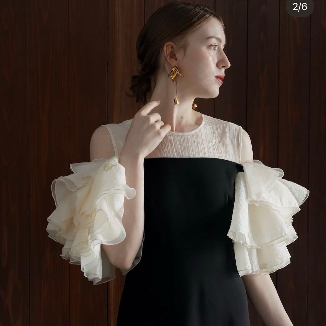 Acka organdy frill dressオケージョンドレス ブラック