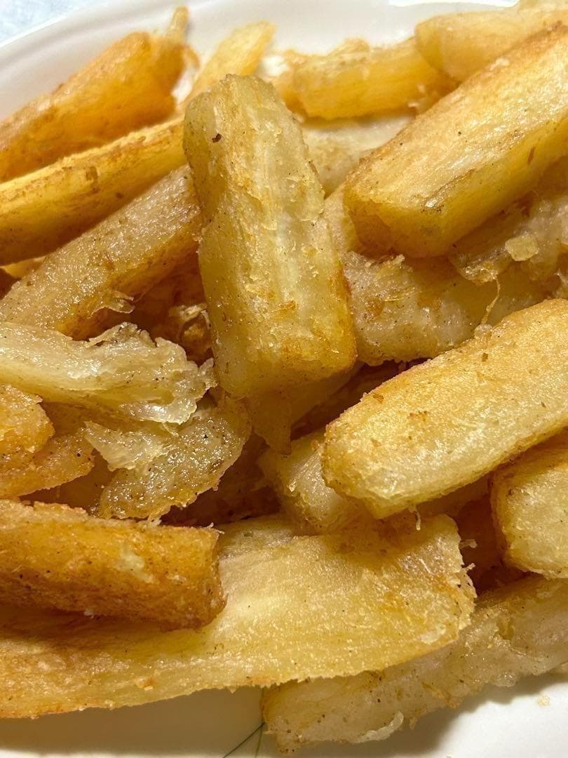 究極＝世界最高峰◆ゴールデン種/キャッサバ★80サイズ段ボール大箱満杯★挿し木枝