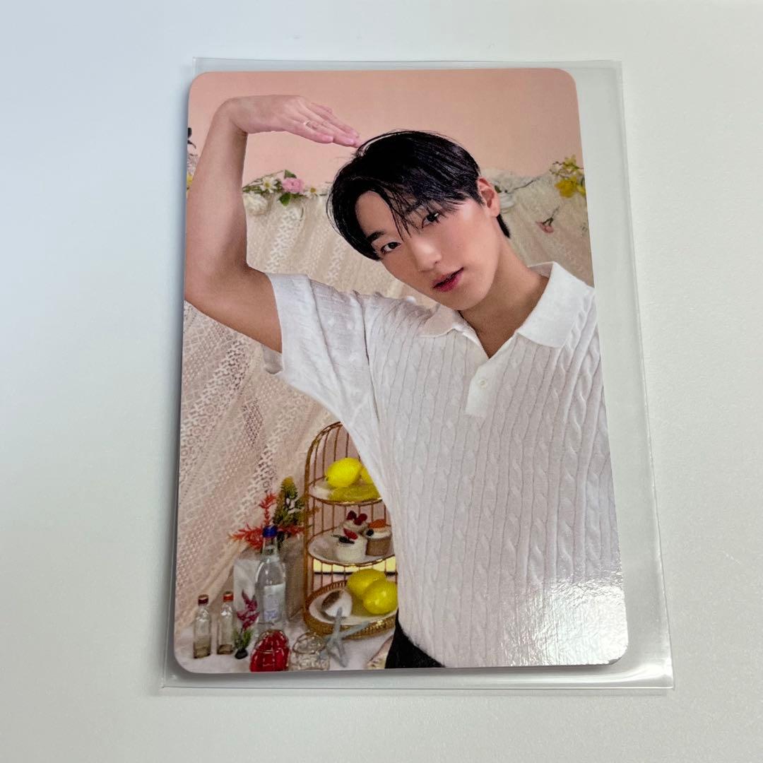 ateez MIGHTEEZ ポップアップ 購入特典 トレカ サン