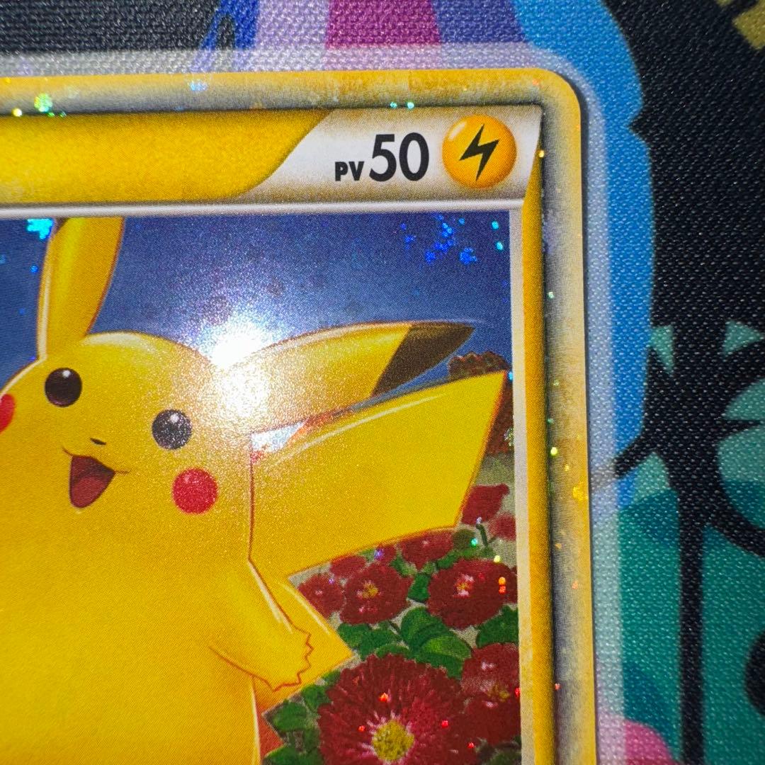 ポケモンカード　ピカチュウ　ワールド　イタリア語　プロモ　引退品　dp 旧裏