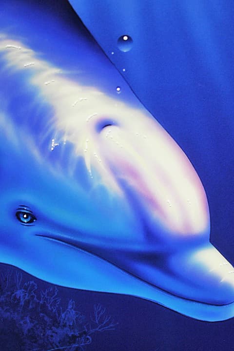 ラッセン【エンドレス ハーモニー】 大版 手彩色 ラッセングラフ