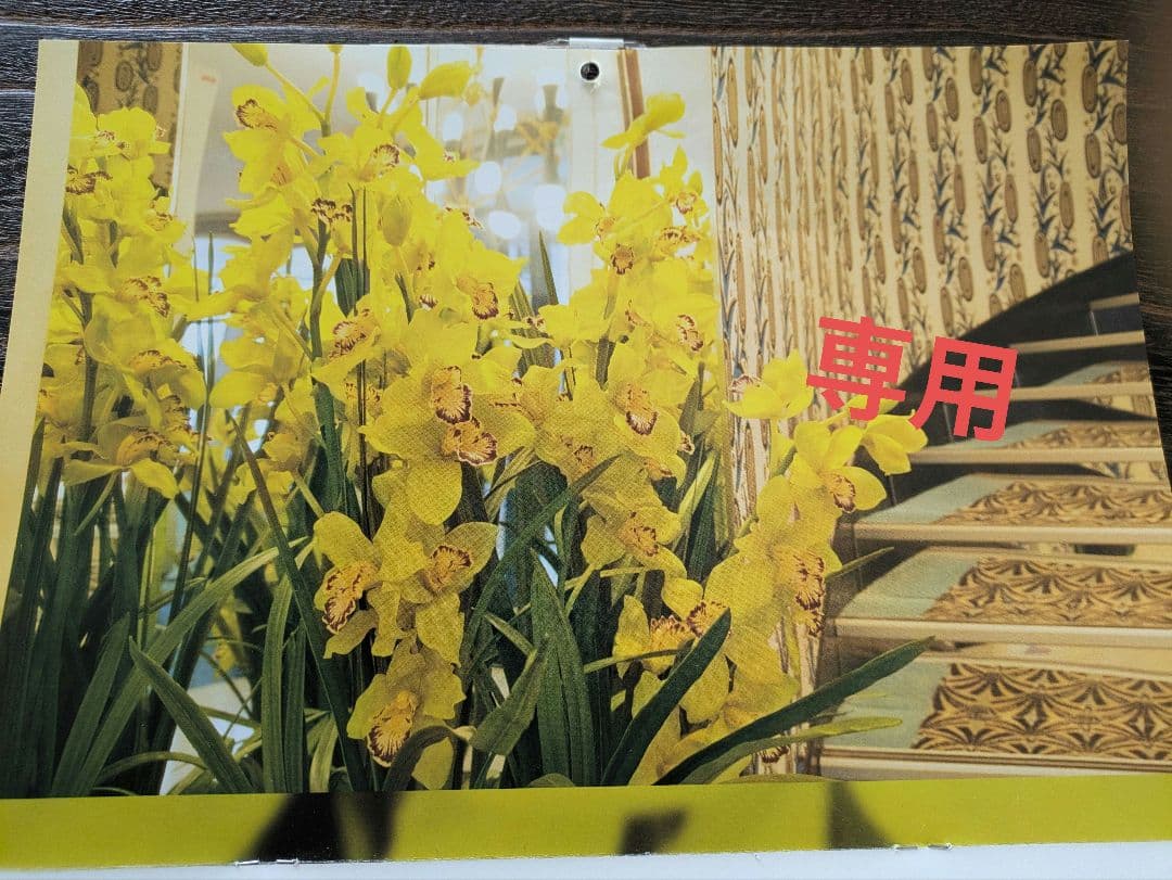 ビオドラガムースウォッシュ×2、24Hクリーム×1 【onepi】