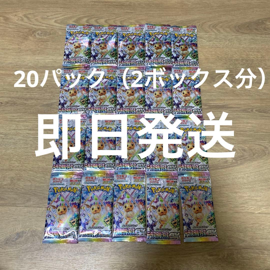 テラスタルフェス　バラ20パック　2ボックス分