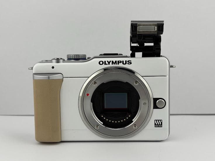 ★極上品★オリンパス PEN E-PL1 ボディ★バッテリー、充電器付★