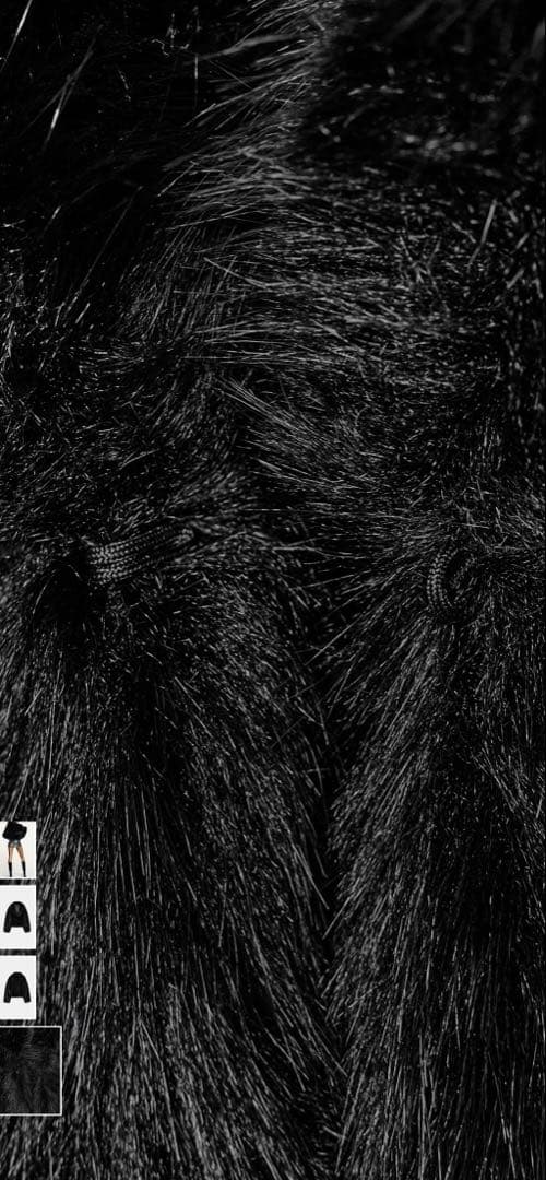 ブラック ショート丈 ファーコートZARAお値下げ中