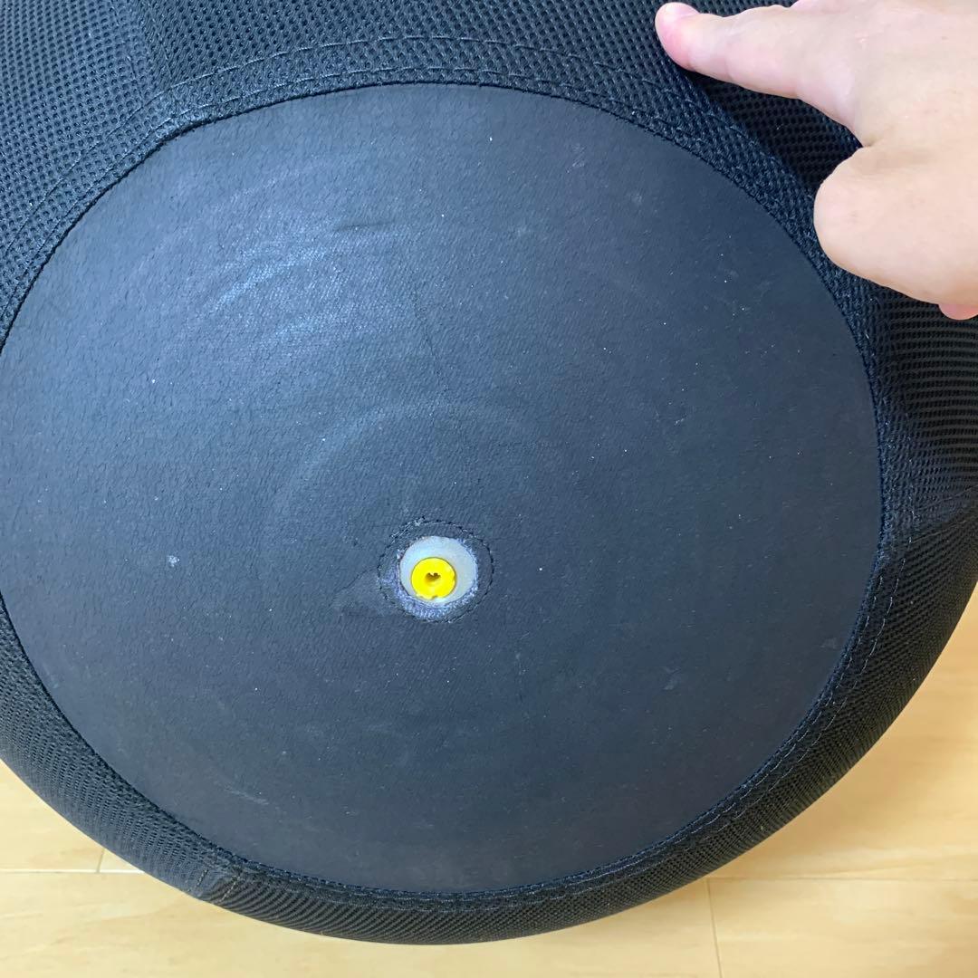G*Y様 TECHNOGYM バランスボール ブラック2個セット