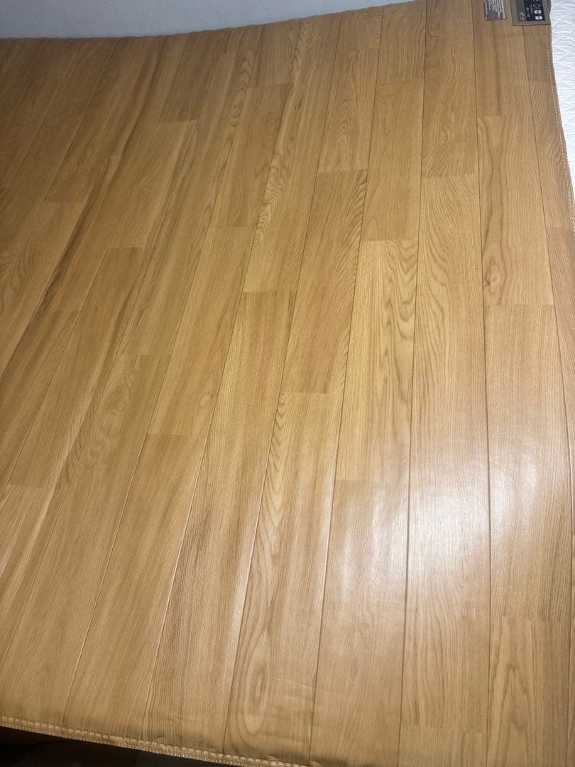 パナソニック　 DC-2V4 ホットカーペット　フローリング Panasonic