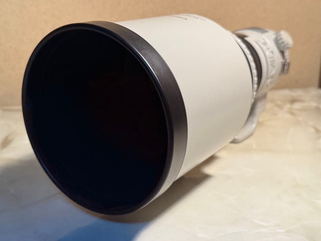 Canon EF400mm F4 DO IS Ⅱ USM