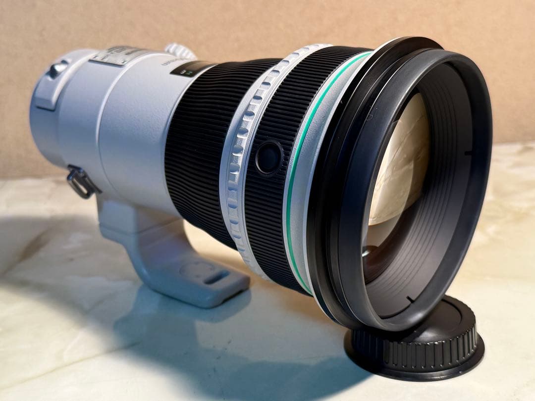 Canon EF400mm F4 DO IS Ⅱ USM