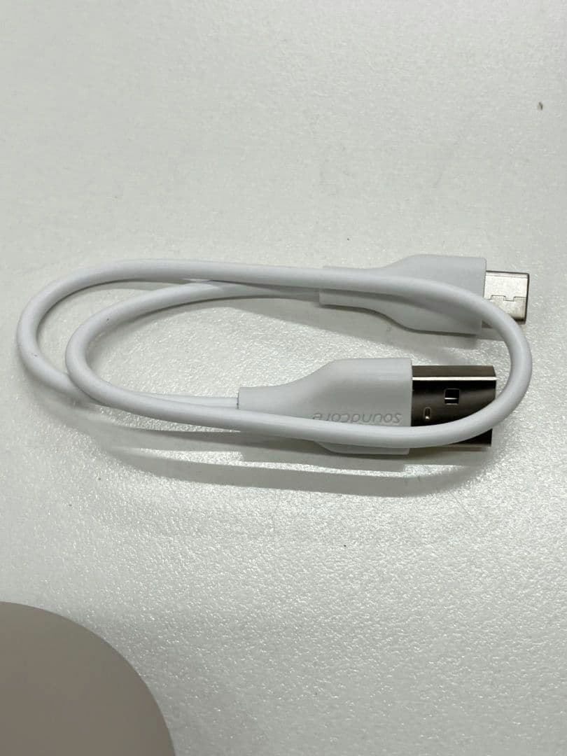 【ワイヤレスイヤホン　sound core】Sleep A20　L