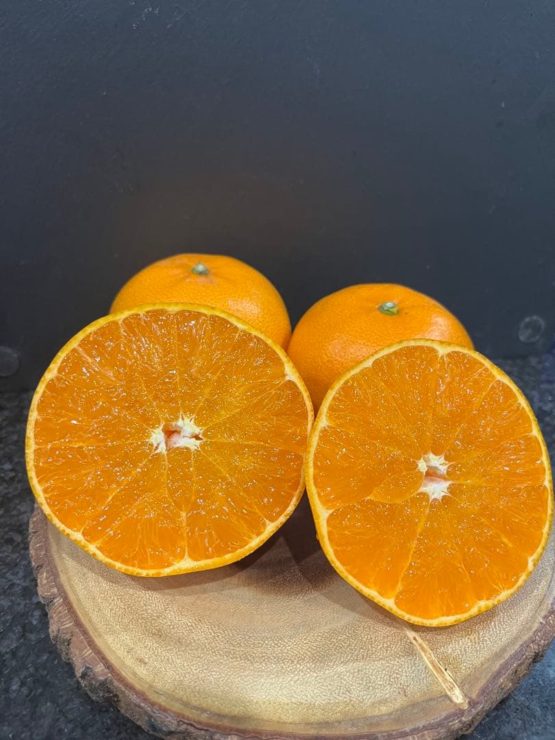 せとか10キロ　期間限定　味見セール