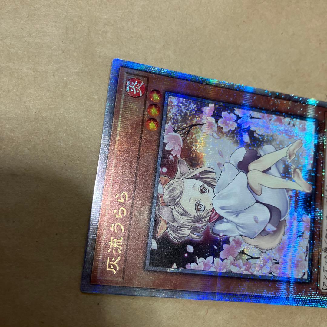 遊戯王　灰流うらら　25th シークレット　イラスト違い　絵違い　クオシク