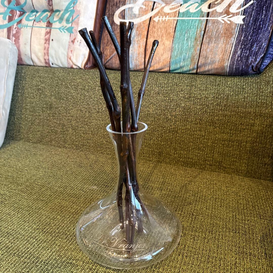 ロッソノービレ　デキャンタ　葡萄の木　7本