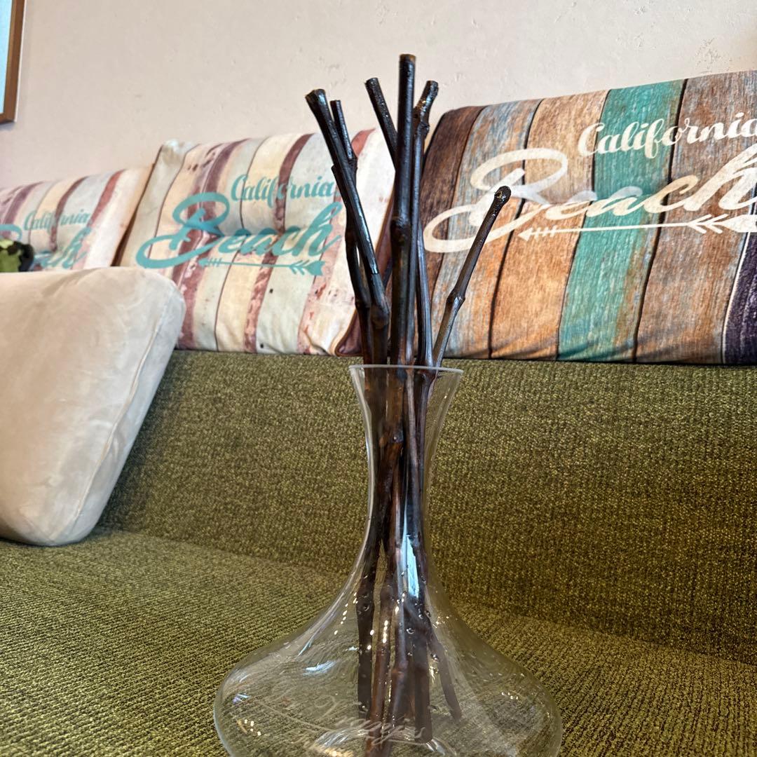 ロッソノービレ　デキャンタ　葡萄の木　7本