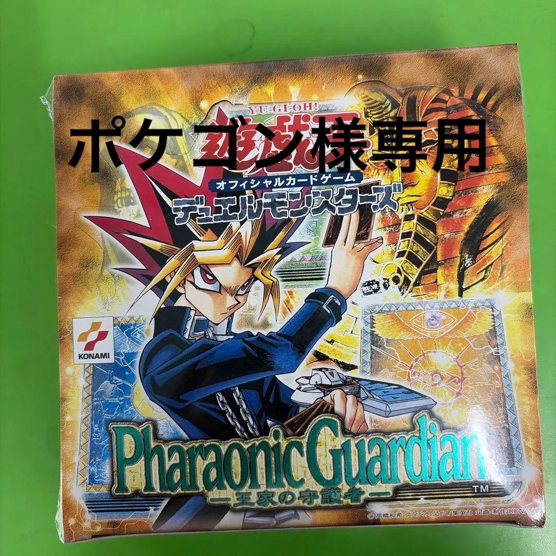 ポケゴン　王家の守護者