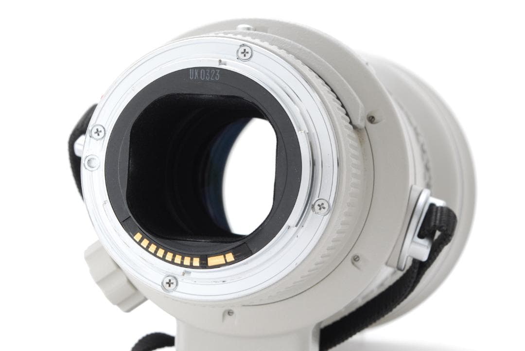 Canon EF 300mm f2.8 L USM キャノン レンズ 望遠